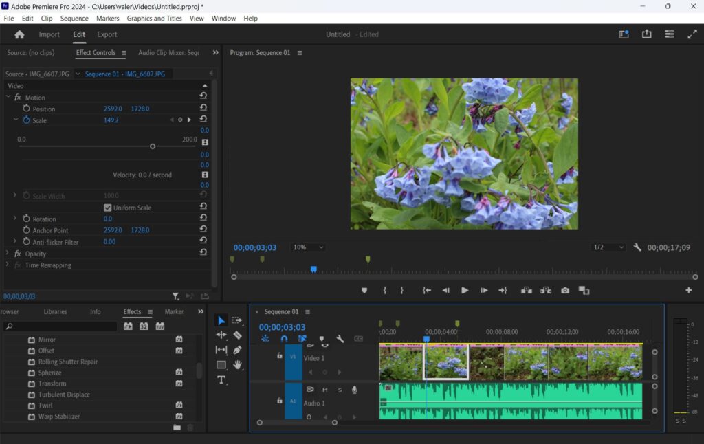 Adobe Premiere Pro's Editing workspace.