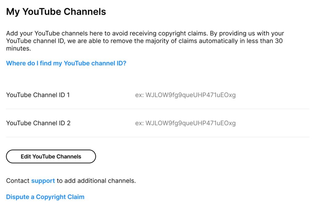 Screenshot of the section of the My Accounts page in Storyblocks where you can add your YouTube Channel IDs.