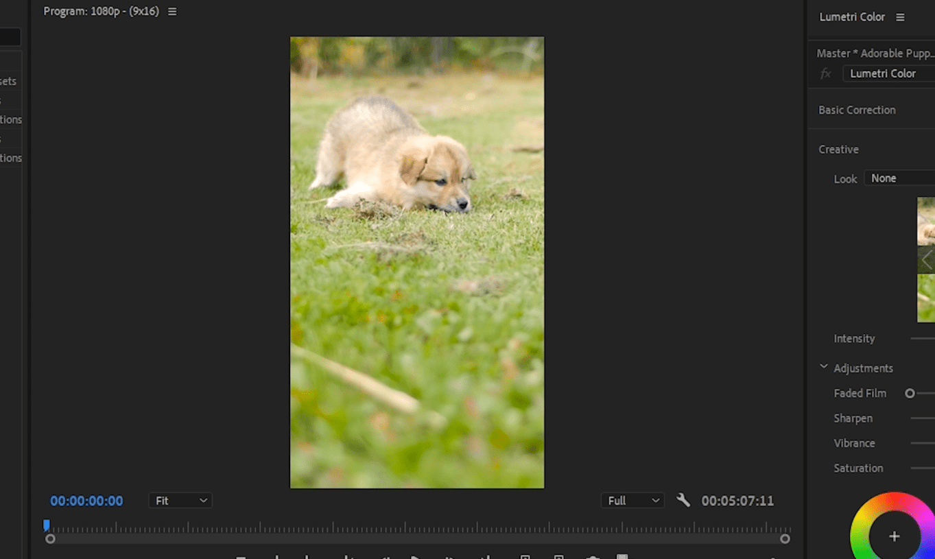 Final result of the video inside Premiere Pro after using the Auto Reframe Sequence feature.