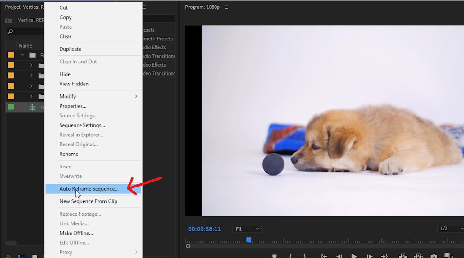 Screenshot of Premiere Pro showing the drop-down Project menu with Auto Reframe Sequence highlighted.