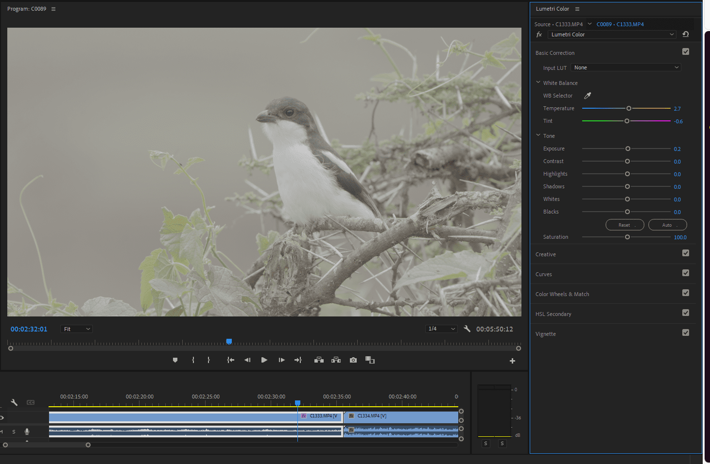 Basics of Video Color Correction in Premiere Pro - Storyblocks