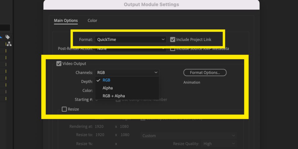 Screenshot of the Video Output settings with the drop-down for Channels displayed.