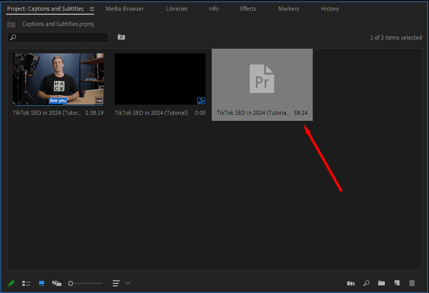 A screenshot of an SRT file in the Project panel of Premiere Pro.