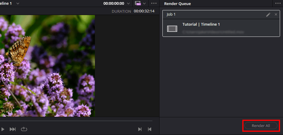 The Render All button found at the bottom of the Render Queue pane.