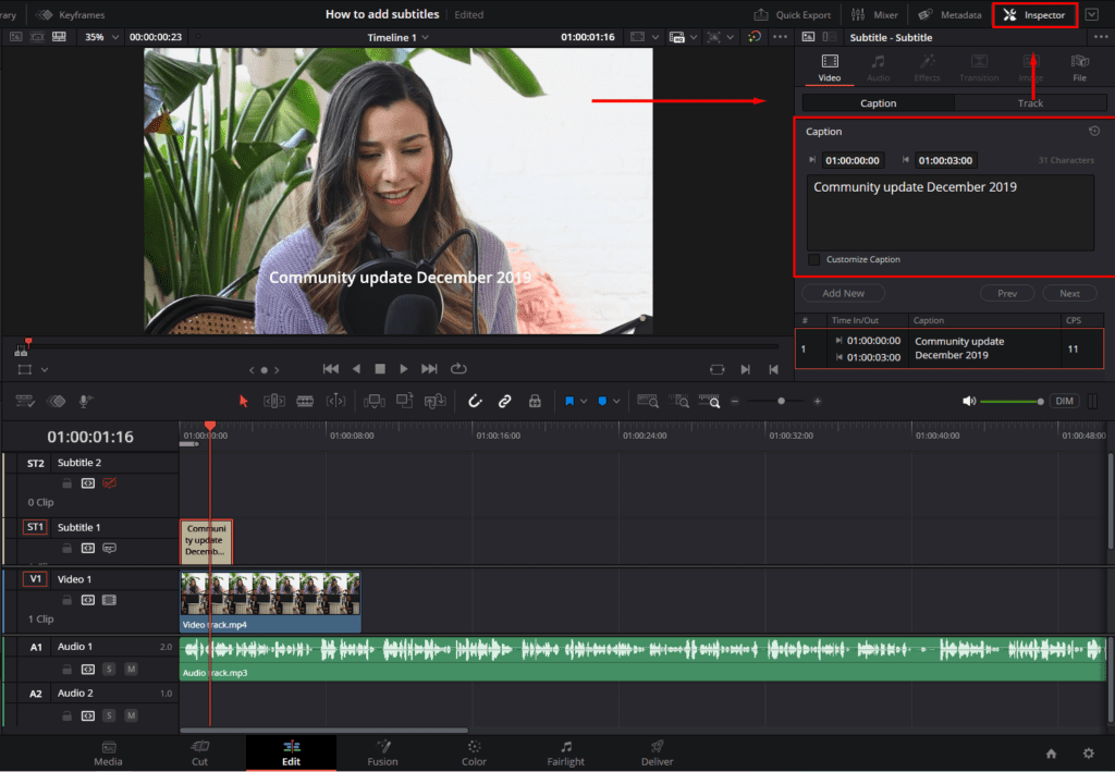 A screenshot of the Inspector panel showing where to type your subtitle or caption content.