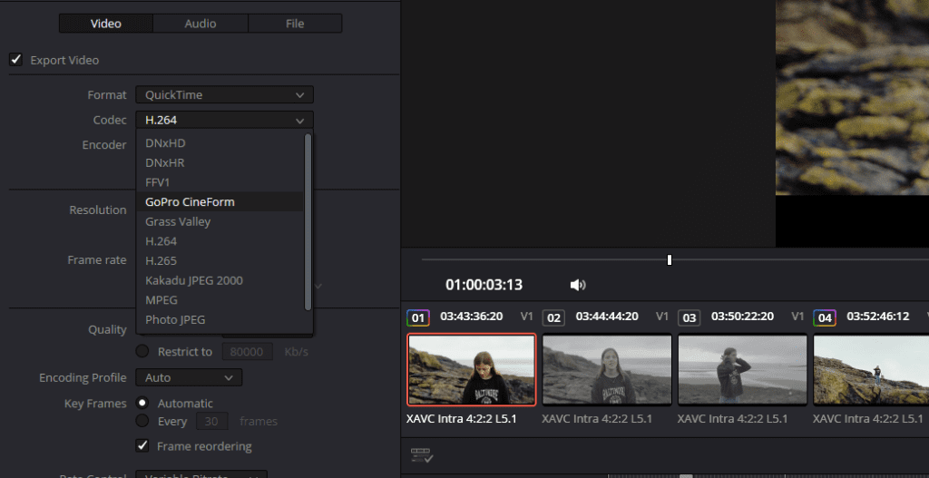Screenshot showing the video codec options available in DaVinci Resolve