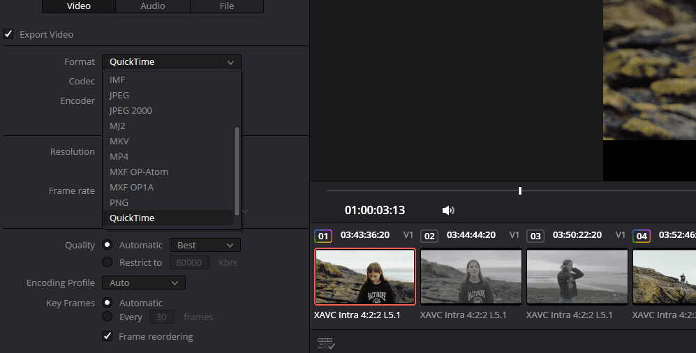 Screenshot showing the video formats available in DaVinci Resolve