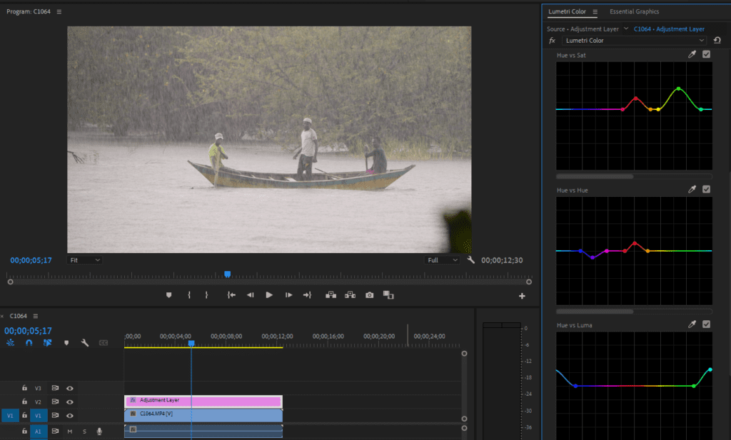 A screenshot of Premiere Pro's Hue curves, showing an example of curve alterations.