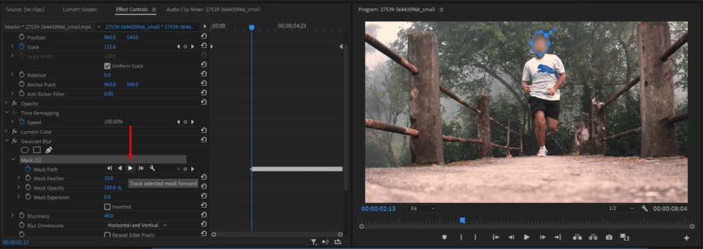 A screenshot of Premiere Pro's Effect Controls panel showing where to access the Track Forward masking setting.