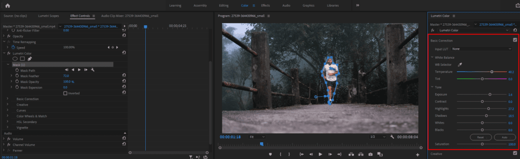 Premiere Pro's Effect Controls and Lumetri Color panels, highlighting how to apply color grading to the masked area.