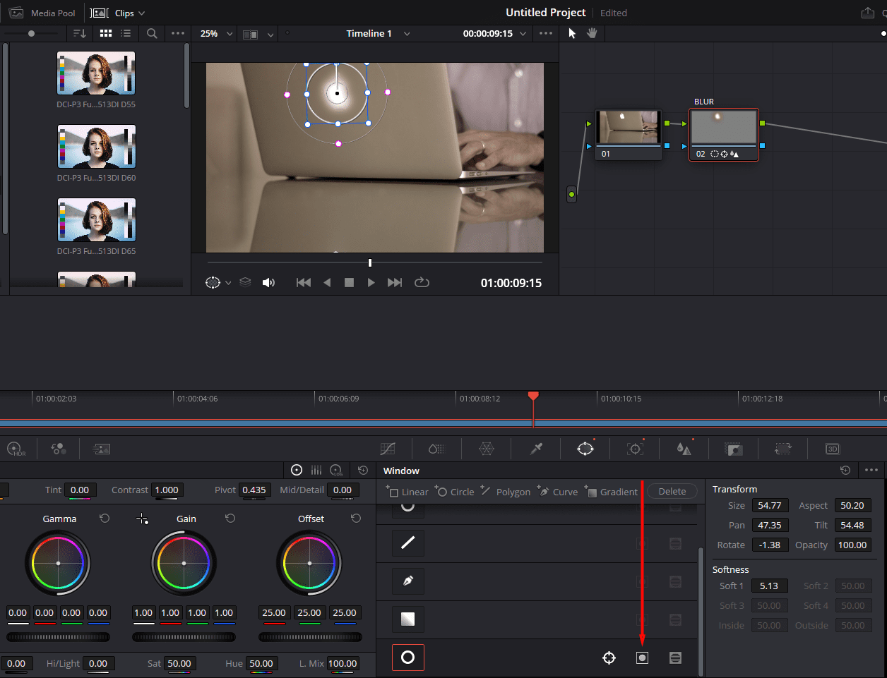 How to blur in DaVinci Resolve - Storyblocks
