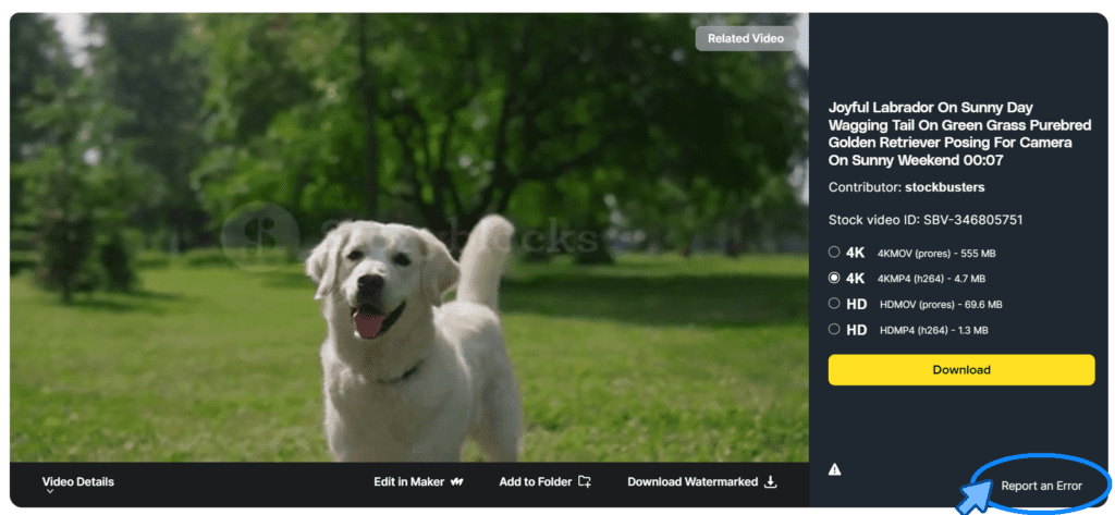 Screenshot of a stock footage asset highlighting the Report an Error button in the bottom right corner