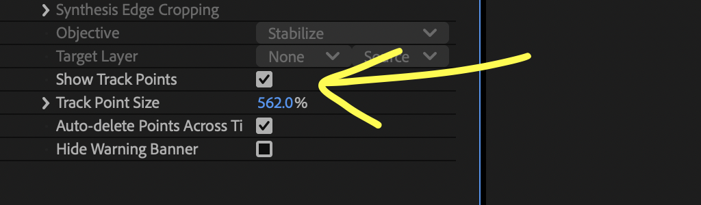 Screenshot showing the Show Track Points box checked with Warp Stabilizer in After Effects