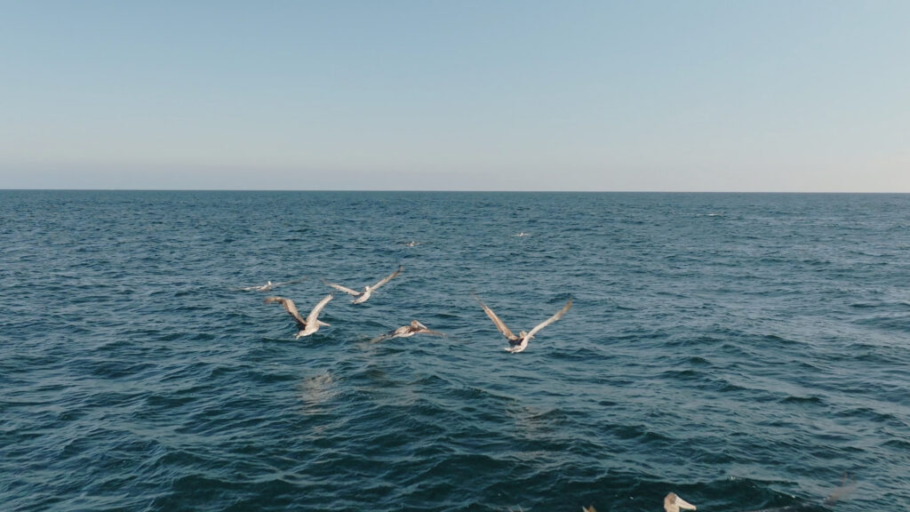 How to start creating faceless video with just a Storyblocks subscription