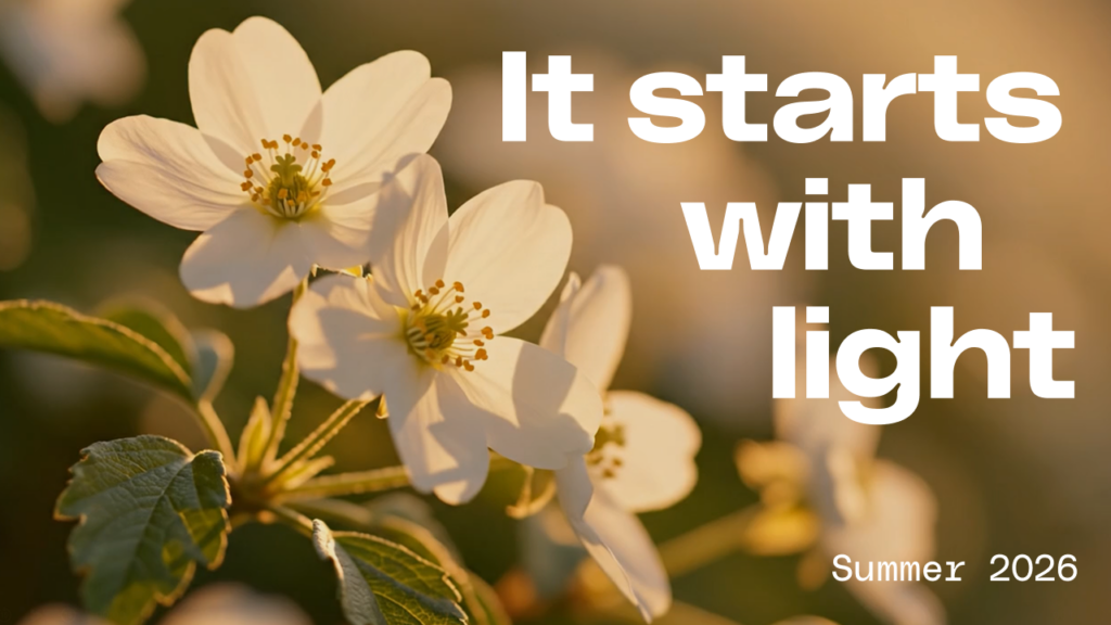 Image of a campaign visual created with AI Image Geator that features a white flower in soft lighting and text that says "It starts with light" and "Summer 2026"